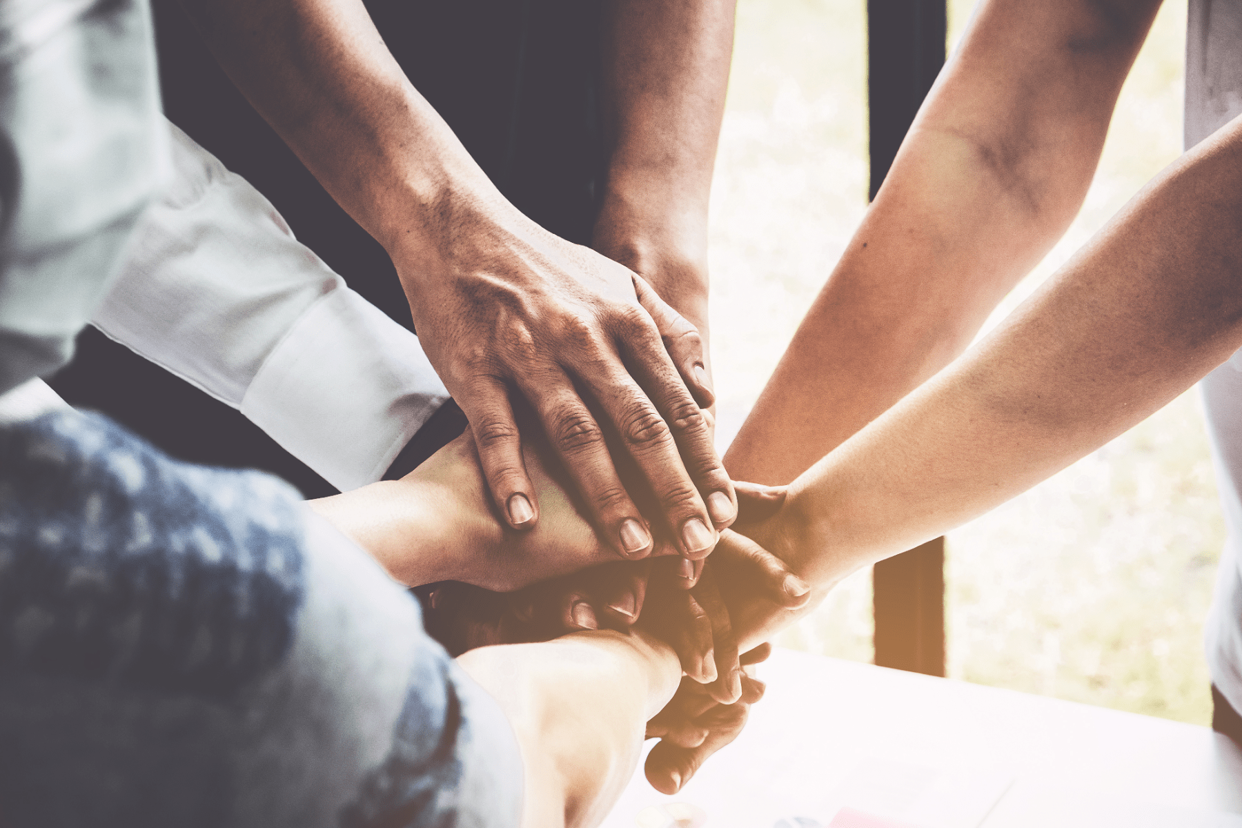 group-holding-hands-proudly_176193079-min